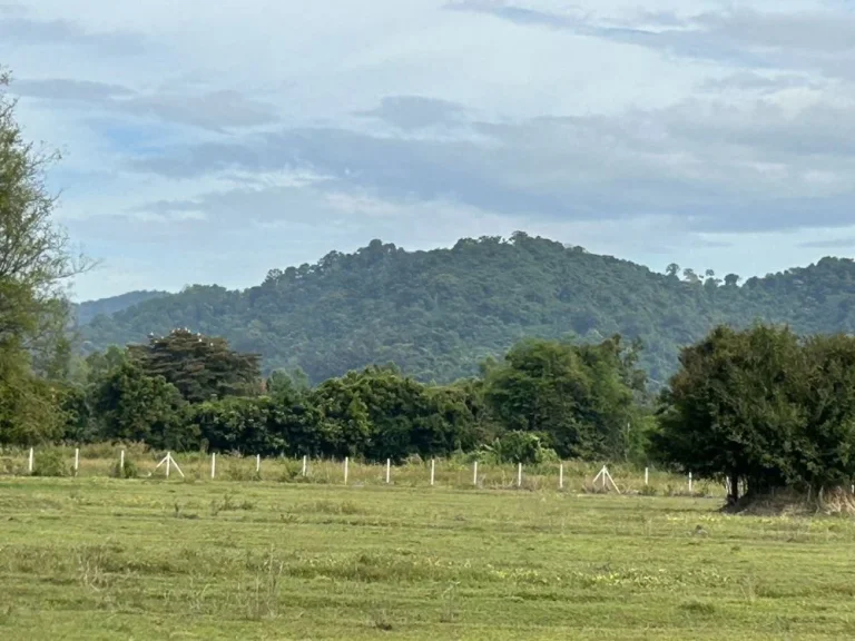 ที่ดินสวยที่สุด ราคาถูก ติดถนนลาดยาง น้ำ ไฟ ครบ ย่านชุมชน