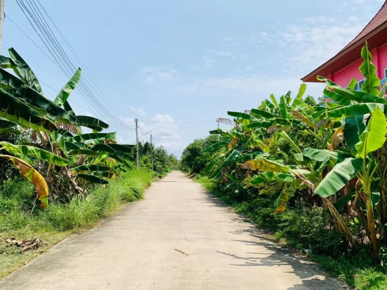 ที่ดินเกาะยอ 1งานกว่า น้ำไฟครบเหมาะสร้างบ้าน ตเกาะยอ สงขลา