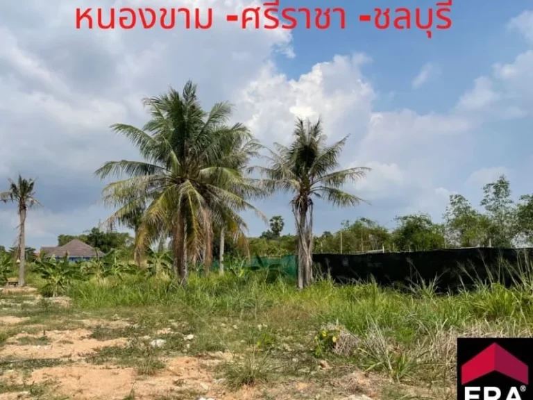 ขายที่ดินเปล่าหนองขาม 3 งาน 54 ตรว น้ำ-ไฟ เข้าถึง ที่ดินสวย