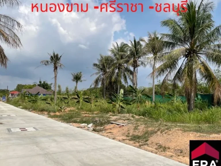 ขายที่ดินเปล่าหนองขาม 3 งาน 54 ตรว น้ำ-ไฟ เข้าถึง ที่ดินสวย