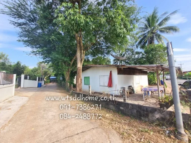 ขายที่ดินพร้อมสิ่งปลูกสร้างบ้านหอย ประจันตคาม ปราจีนบุรี