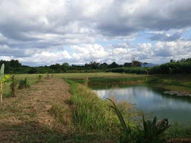 ขายที่ดิน ซอยไม้งามรีสอร์ท ติดถนนลาดยาง จำนวน 8 ไร่ เพชรบูรณ์