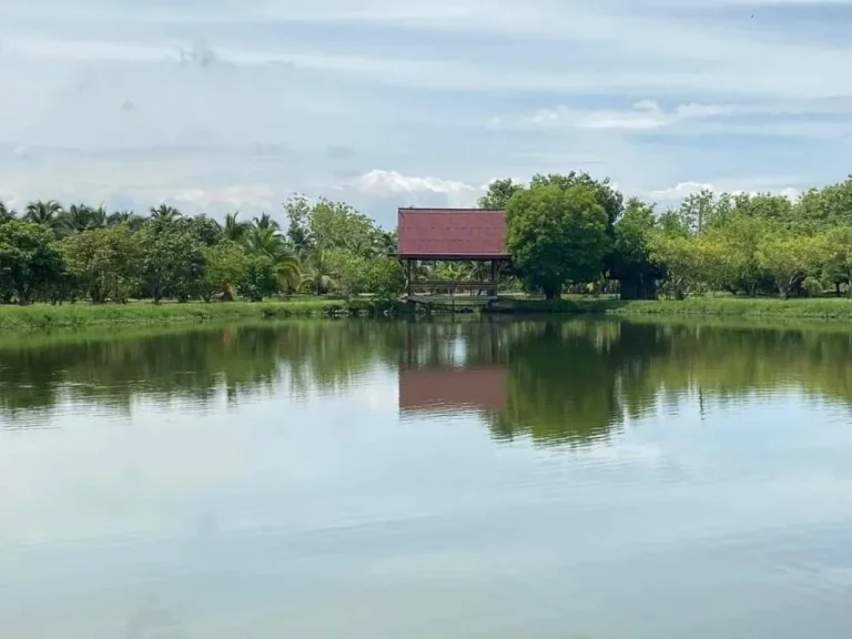 ขายที่ดินสารภี ที่สวนพร้อมบ่อปลา ใกล้ไทวัสดุ เนื้อที่ 30 ไร่