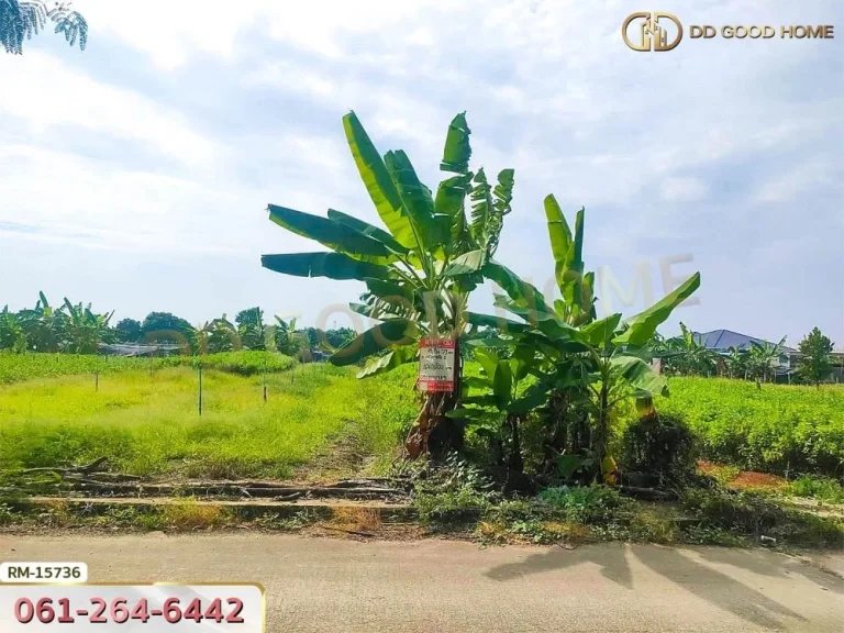 ที่ดินขนาด 71 ตรว ซหมู่บ้านศรีสุภาลัย 1 นนทบุรี