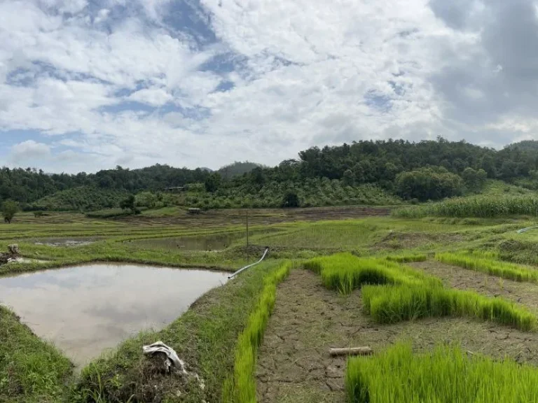 ที่นา ติดลำน้ำธรรมชาติ วิวเขาสวย 360 องศา