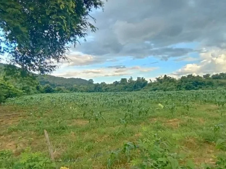 ขายที่กาญจนบุรีดินติดแม่น้ำ วิวโค้งทางรถไฟที่สวยที่สุดในประเ