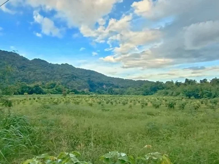 ขายที่กาญจนบุรีดินติดแม่น้ำ วิวโค้งทางรถไฟที่สวยที่สุดในประเ