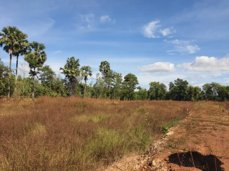 ขายที่ดินนนทรี 2 ไร่ ใกล้สนามกอลฟ์ฮิลล์ไซด์คันทรีโฮม - 6 กม