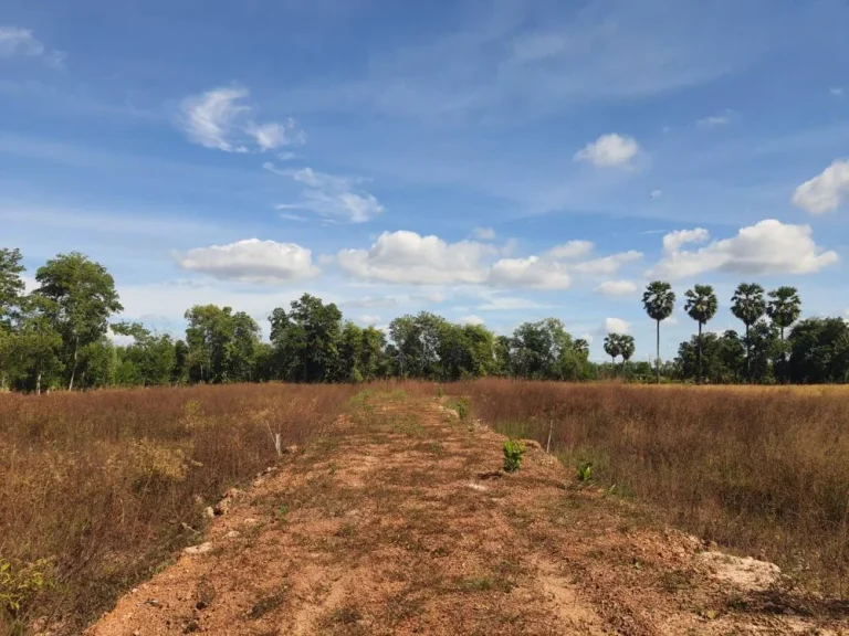 ขายที่ดินนนทรี 2 ไร่ ใกล้สนามกอลฟ์ฮิลล์ไซด์คันทรีโฮม - 6 กม