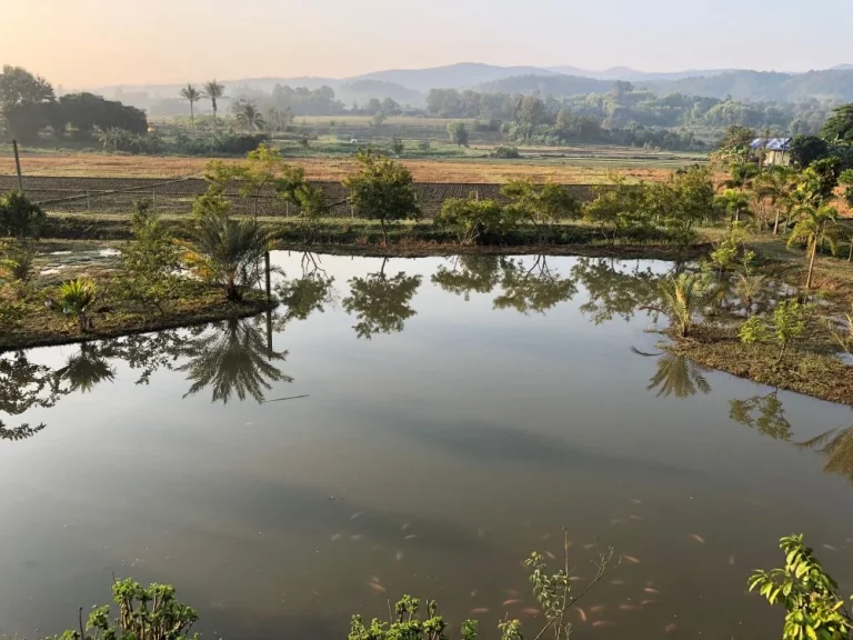 ขายบ้านสวน แม่แตง-แม่ริม เชียงใหม่ ติดลำน้ำแม่ริม