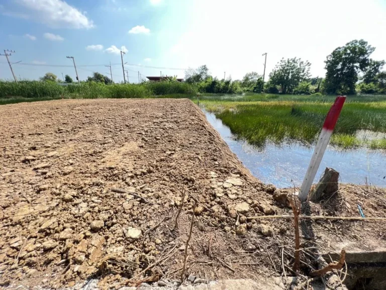 ขายที่ดิน 100 ตรวคลอง11 หนองเสือ ปทุมธานี ฝั่งตะวันตก