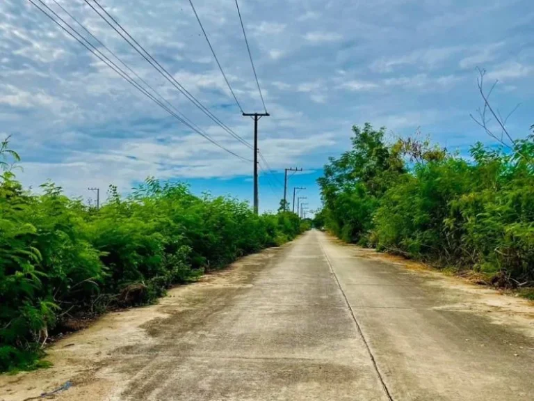 ขายที่ดิน 100 ตรวคลอง11 หนองเสือ ปทุมธานี ฝั่งตะวันตก