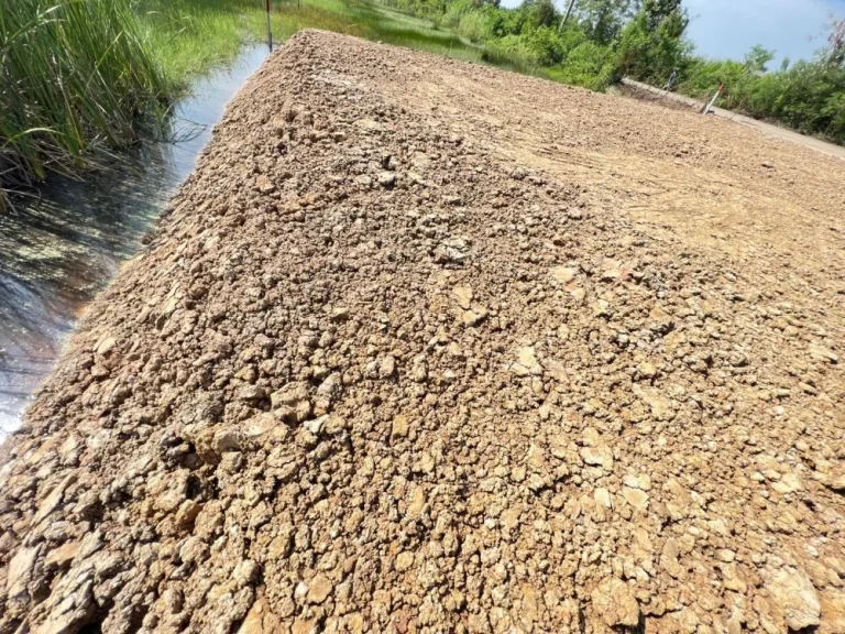 ขายที่ดิน 100 ตรวคลอง11 หนองเสือ ปทุมธานี ฝั่งตะวันตก