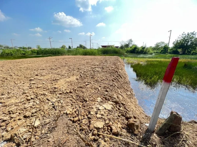 ขายที่ดิน 100 ตรวคลอง11 หนองเสือ ปทุมธานี ฝั่งตะวันตก