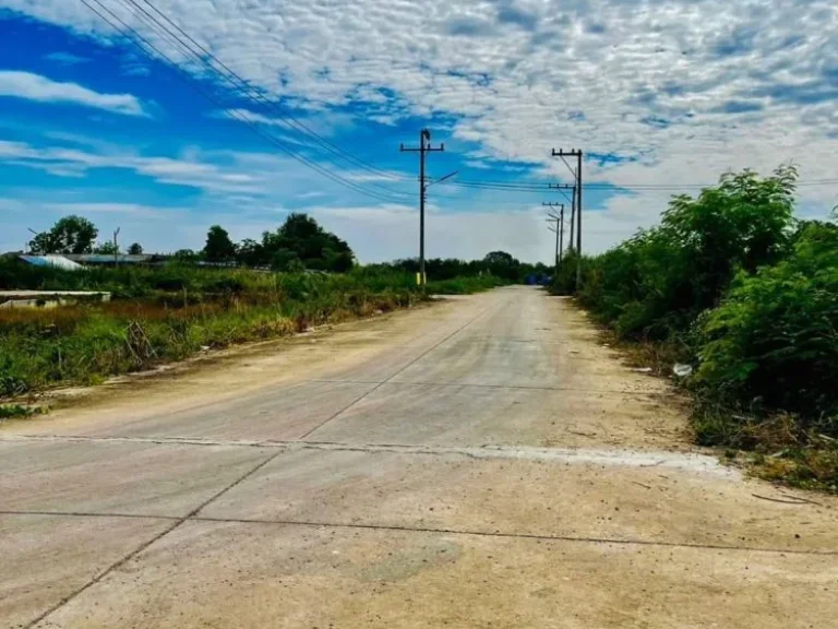 ขายที่ดิน 100 ตรวคลอง11 หนองเสือ ปทุมธานี ฝั่งตะวันตก