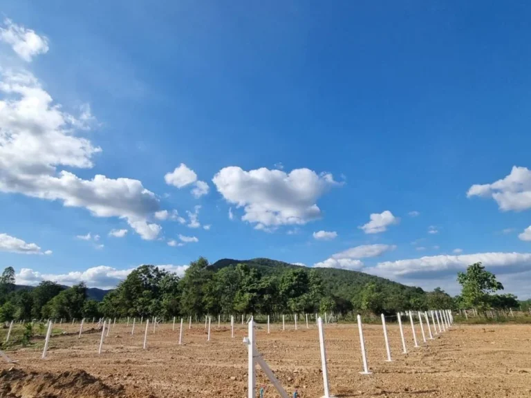 แบ่งขายที่ดินจัดสรรทำเลทองด่านช้างสุพรรณบุรี