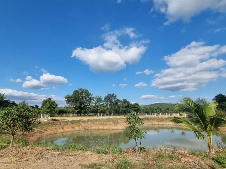 แบ่งขายที่ดินจัดสรรทำเลทองด่านช้างสุพรรณบุรี