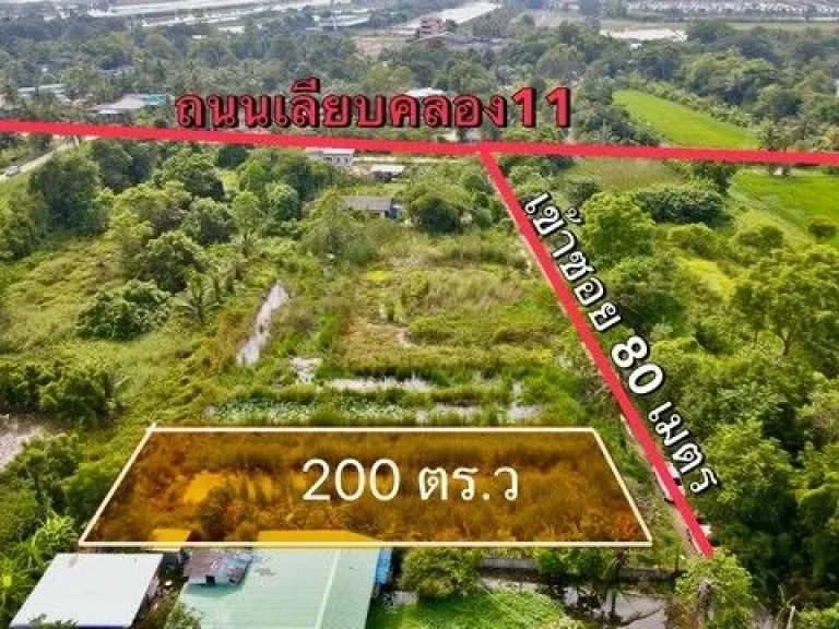 ขายที่ดินบึงคอไห 200 ตรว คลอง 11 ใกล้ถนนเส้นรังสิต-นครนายก