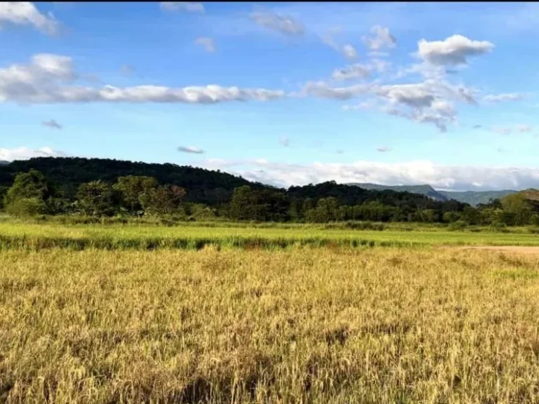 ขายถูกมาก ที่ดินแปลงสวยวิวภูเขา ทำเลดี อเมืองนครนายก