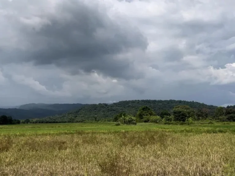 ถูกที่สุดในย่านนี้ ที่ดินวิวภูเขา บรรยากาศดีมาก