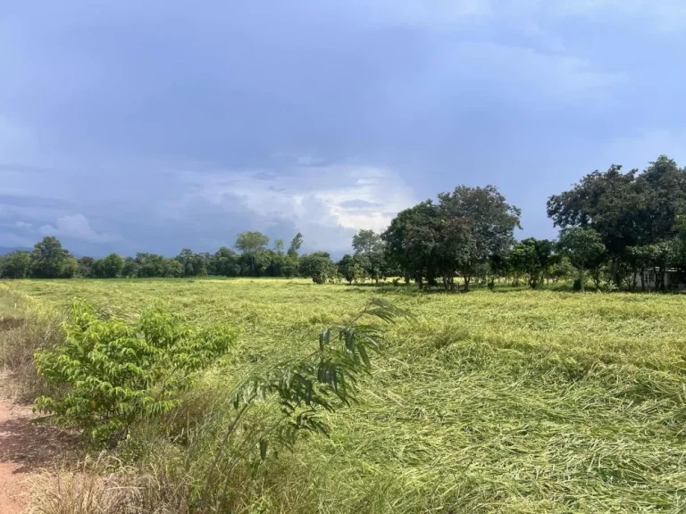 ถูกที่สุดในย่านนี้ ที่ดินวิวภูเขา บรรยากาศดีมาก