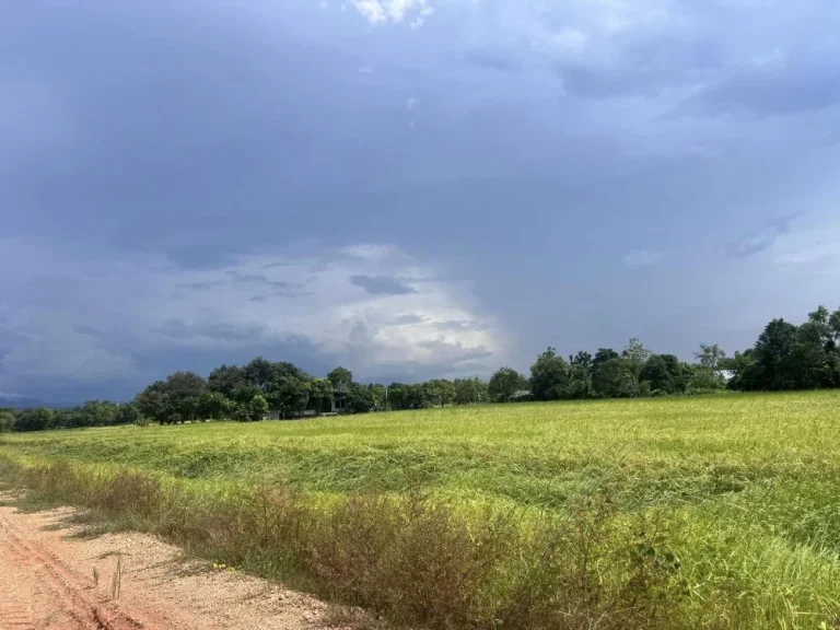 ถูกที่สุดในย่านนี้ ที่ดินวิวภูเขา บรรยากาศดีมาก