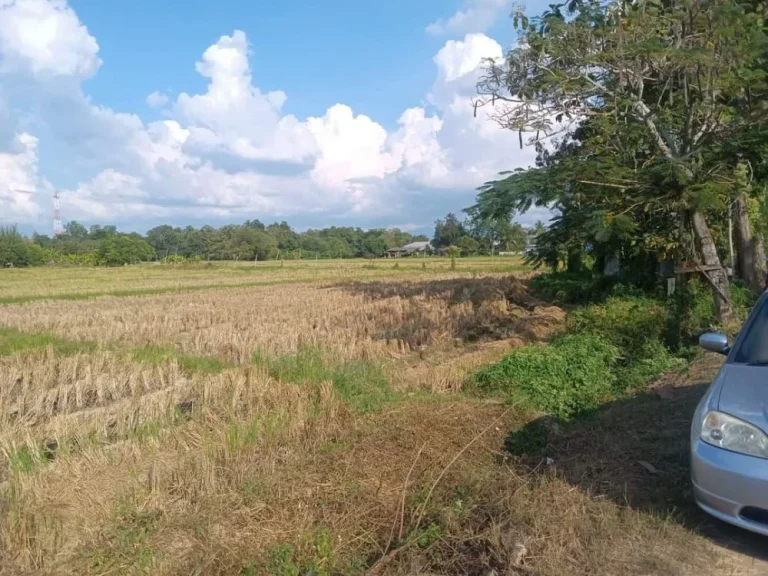 ขายที่ดินติดถนนแถวตลาดใหญ่ดอยสะเก็ตโฉนดพร้อมโอน