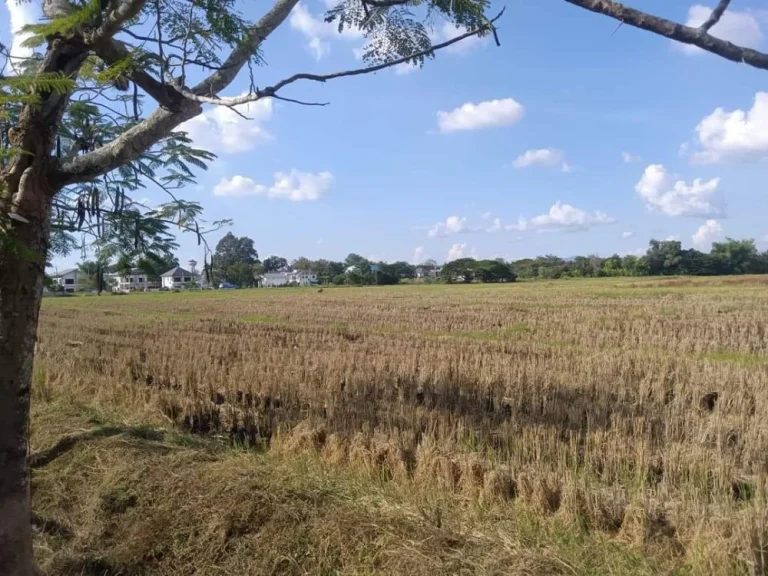 ขายที่ดินติดถนนแถวตลาดใหญ่ดอยสะเก็ตโฉนดพร้อมโอน