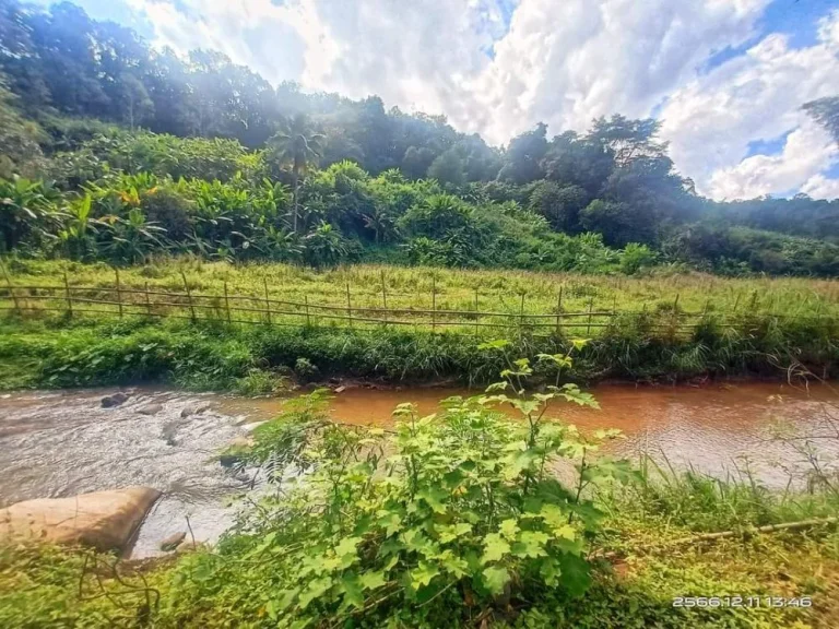 ขายที่ดินติดลำธารน้ำไหลผ่านแม่ริมวิวดอยโฉนดพร้อมโอน