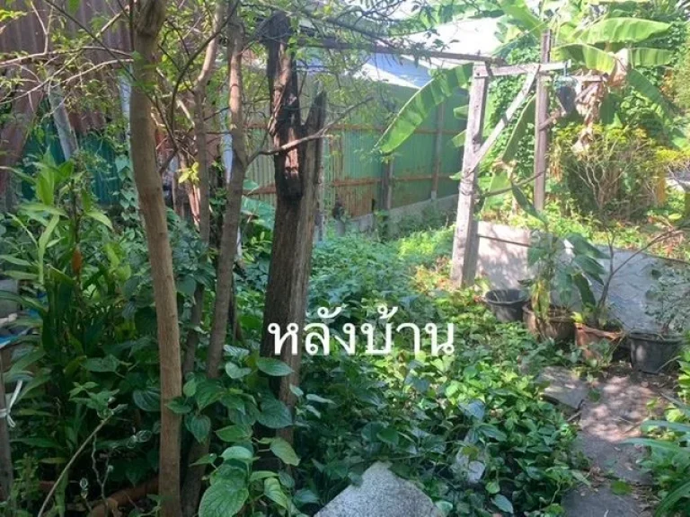 ขายที่ดินพร้อมบ้าน เนื้อที่ 73 ตรว ใจกลางเมือง