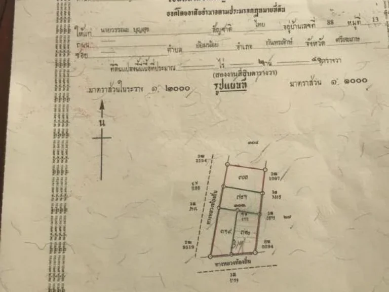 ประกาศขาย ที่ดิน อเวียงสระ จสุราษฎร์ธานี บ้านส้อง