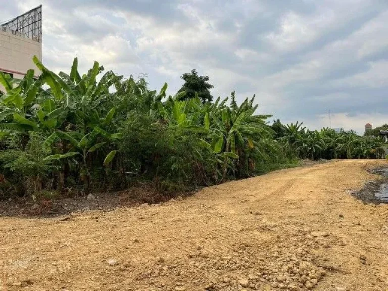 ประกาศขายที่ดินด่วน ติดสี่แยกหนองแขม แขวงหนองแขม