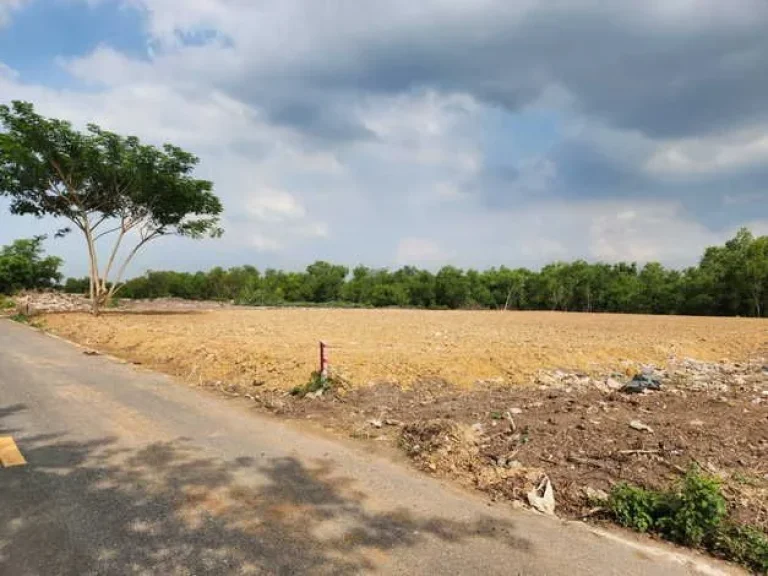 ขายที่ดิน ทำเลดี ซอยเอราวัณ 19 อำเภอคลองหลวง จังหวัดปทุมธานี