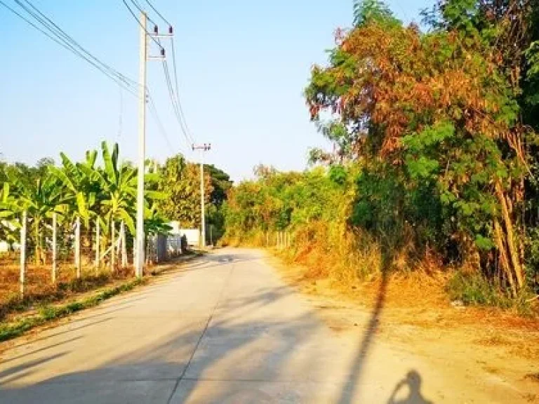 ถูกสุดในย่านนี้ ขายที่ดินติดน้ำแปลงสวยโครงการธารทิพย์