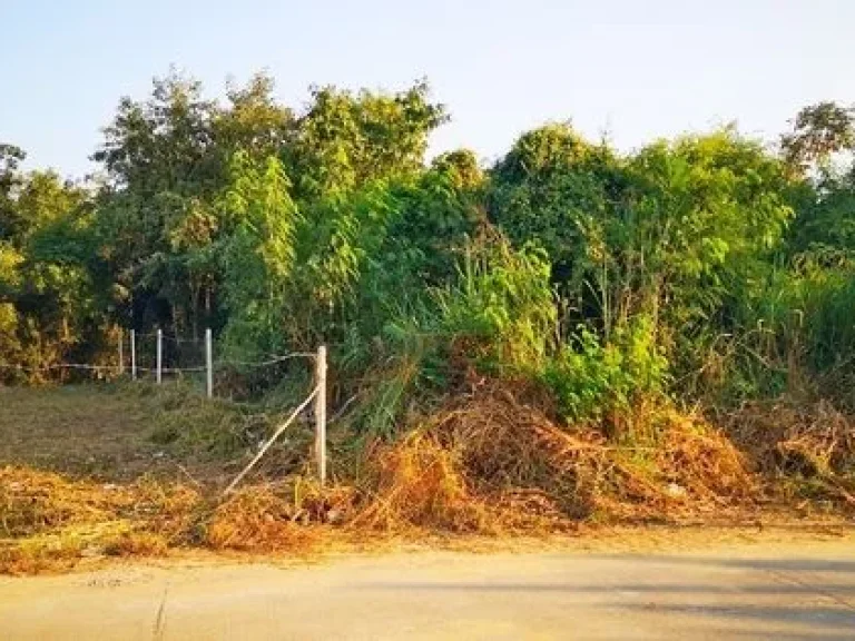 ถูกสุดในย่านนี้ ขายที่ดินติดน้ำแปลงสวยโครงการธารทิพย์