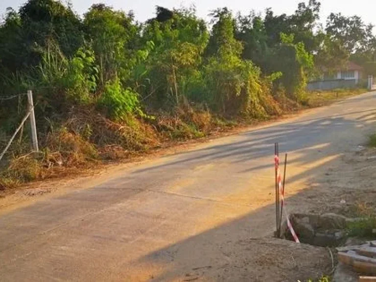 ถูกสุดในย่านนี้ ขายที่ดินติดน้ำแปลงสวยโครงการธารทิพย์