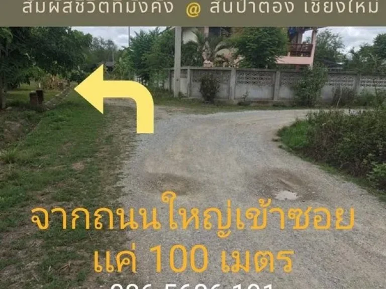 โปรท้าลมหนาว ขายที่ดิน 114 วา ใกล้ รพสันป่าตอง จเชียงใหม่