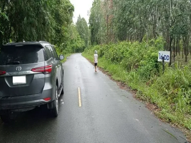 ขายที่ดิน ร่อนพิบูลย์ ถนนร่อนพิบูลย์ ควนพัง ร่อนพิบูลย์