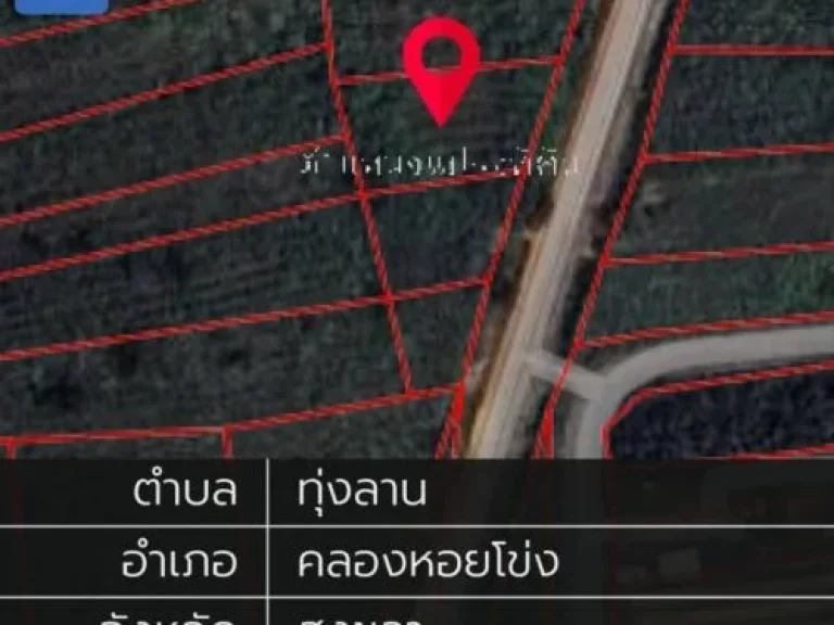 ขายที่ดินสวนยางคลองหอยโข่งทุ่งลาน 1ไร่ 2 งาน89ตรว