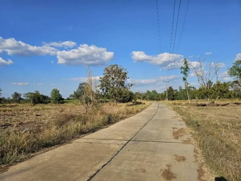 ขายที่ดินวัฒนานคร สระแก้ว ใกล้ โรงเรียนบ้านโป่งคอม