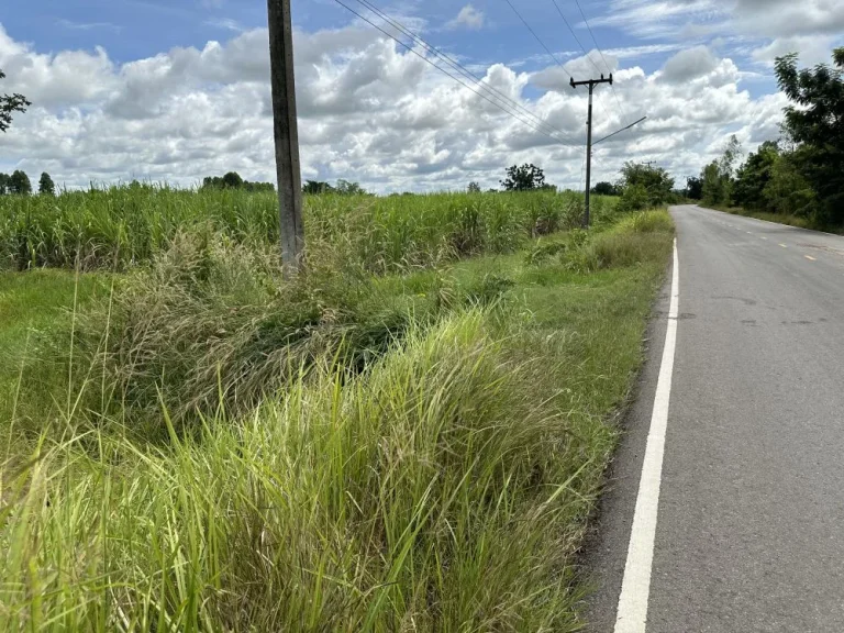 ขายที่ดิน 39ไร่เศษ ออรัญประเทศ จสระแก้ว