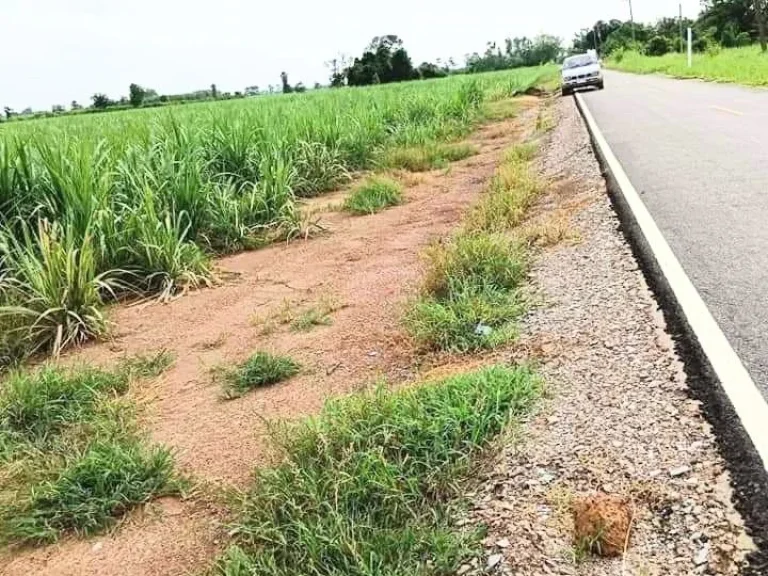 ที่ดินเปล่าแปลงสวย ติดถนนลาดยาง มีไฟฟ้า และแหล่งน้ำ ใกล้ชุมชน