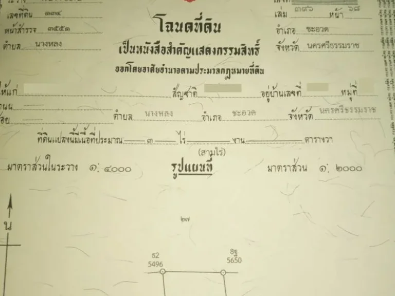 ที่ดิน3 ไร่กับที่ดินติดถนน 1 ไร่ 1 งาน 705 ตรวา