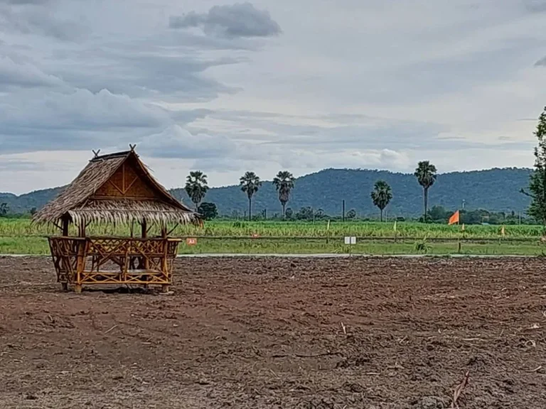 โครงการสุขธนาวิว 8 ที่ดินถมแล้ว ราคาถูก ทำเลดี วิวเขาสวย