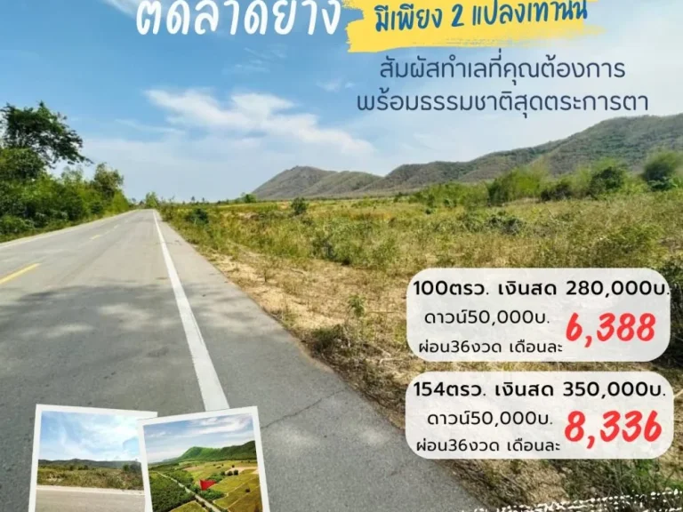 ขายที่ดินวิวภูเขาล้อมรอบ360องศา 100 ตรวติดถนน ท่ายาง