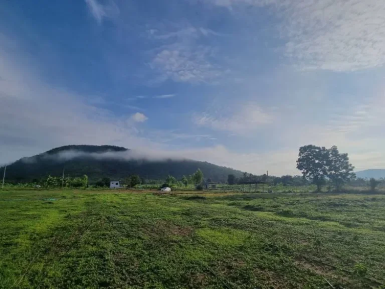 ขายที่ดินเนื่อที่ 3-2-0 ไร่ อำเภอด่านช้าง จังหวัดสุพรรณบุรี