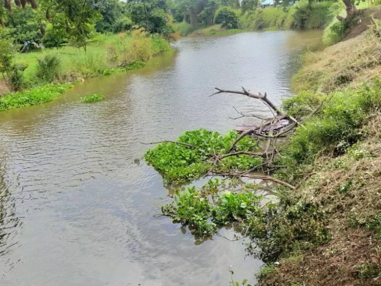 ขายที่ดินสวยติดแม่น้ำลพบุรี อำเภอบางปะหัน จังหวัดอยุธยา