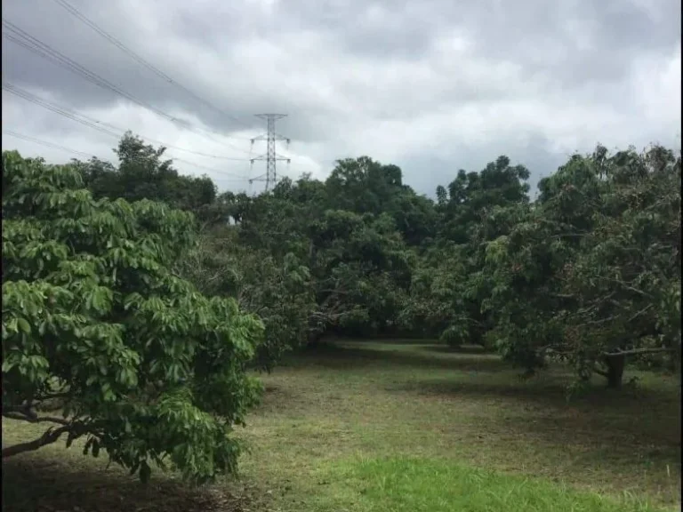 ขายที่ดินติดถนนซุปเปอร์แม่ทาลำพูนโฉนดพร้อมโอน