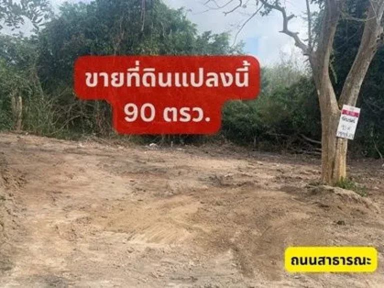 ขายที่ดินเปล่า 4 ห้อง ราคาถูกที่สุดในโซนนี้ ใกล้ บพิธาน