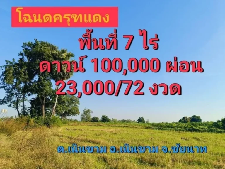 ขายที่ดินเนินขาม วิวทุ่งนา 7 ไร่ ให้ผ่อนได้ ชัยนาท